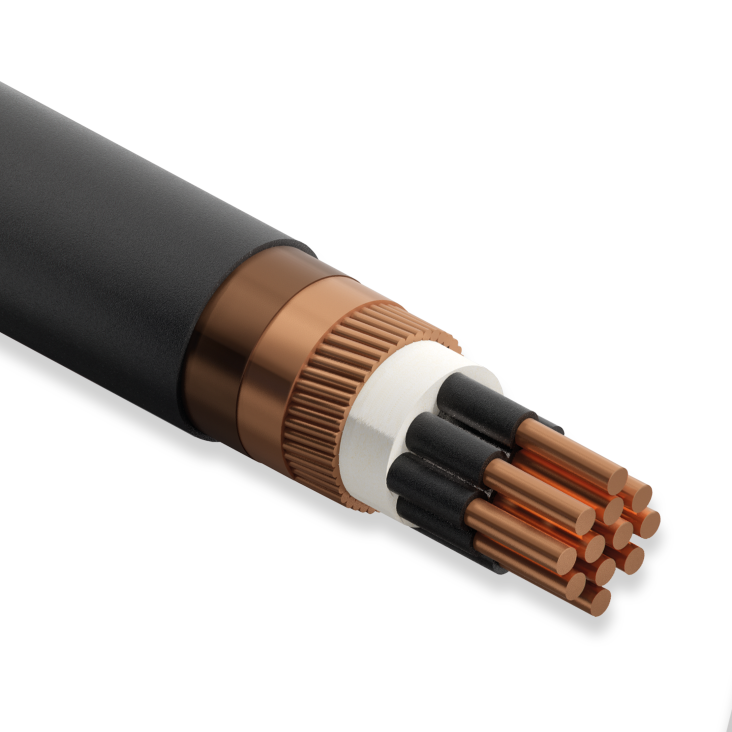 Öznur Kablo N2XCH, 10x2.5/9 mm, 1 Metre, 0.6/1 kV, XLPE İzoleli, Bakır İletkenli, Konsantrik İletkenli, HFFR İzoleli Kablo