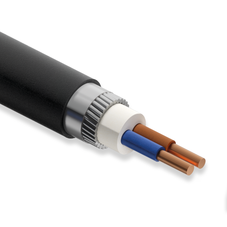 Koç Kablo YVZ2V, 2x4 mm, NYRY Kablo, 1 Metre, 0.6/1 kV, Bakır İletkenli, Yuvarlak Galvanizli Çelik Tel Zırhlı,  PVC İzoleli Kablo
